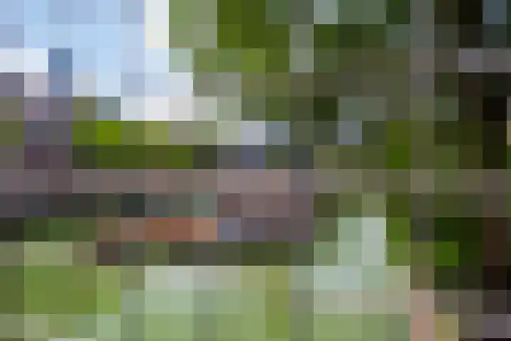 Glashaven 7 Rotterdam thumbnail 4