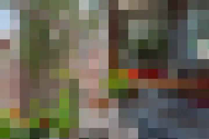 Glashaven 7 Rotterdam thumbnail 5