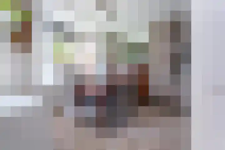 Glashaven 7 Rotterdam thumbnail 7