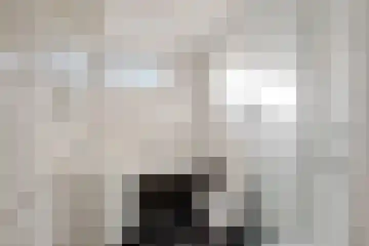 Glashof 19 Leerdam thumbnail 31