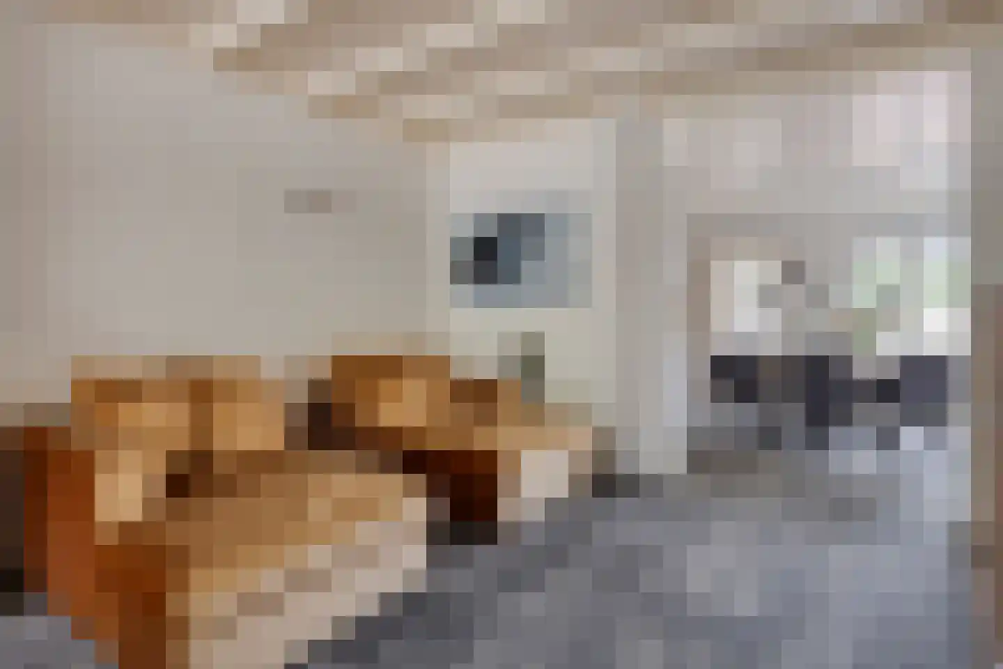 Glashorst 30 Scherpenzeel thumbnail 10