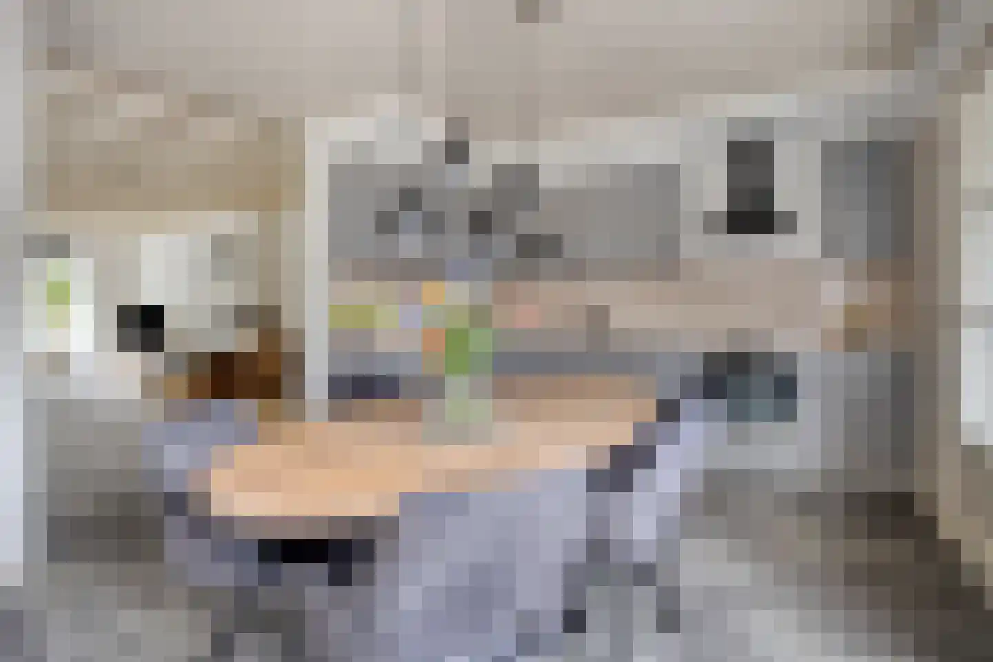 Glashorst 30 Scherpenzeel thumbnail 12