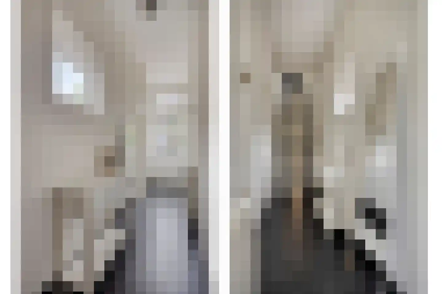 Glashorst 30 Scherpenzeel thumbnail 18