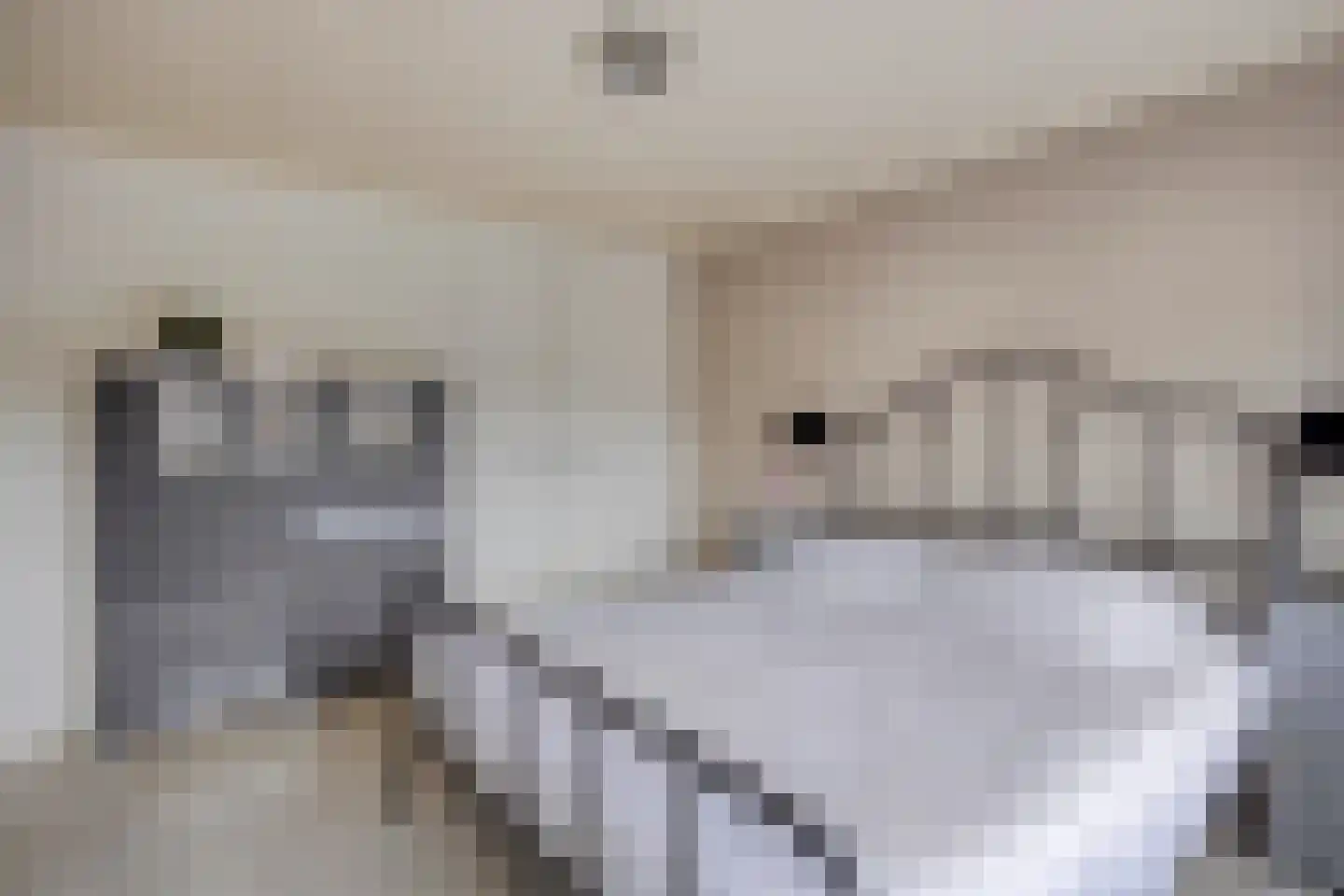Glashorst 30 Scherpenzeel thumbnail 21