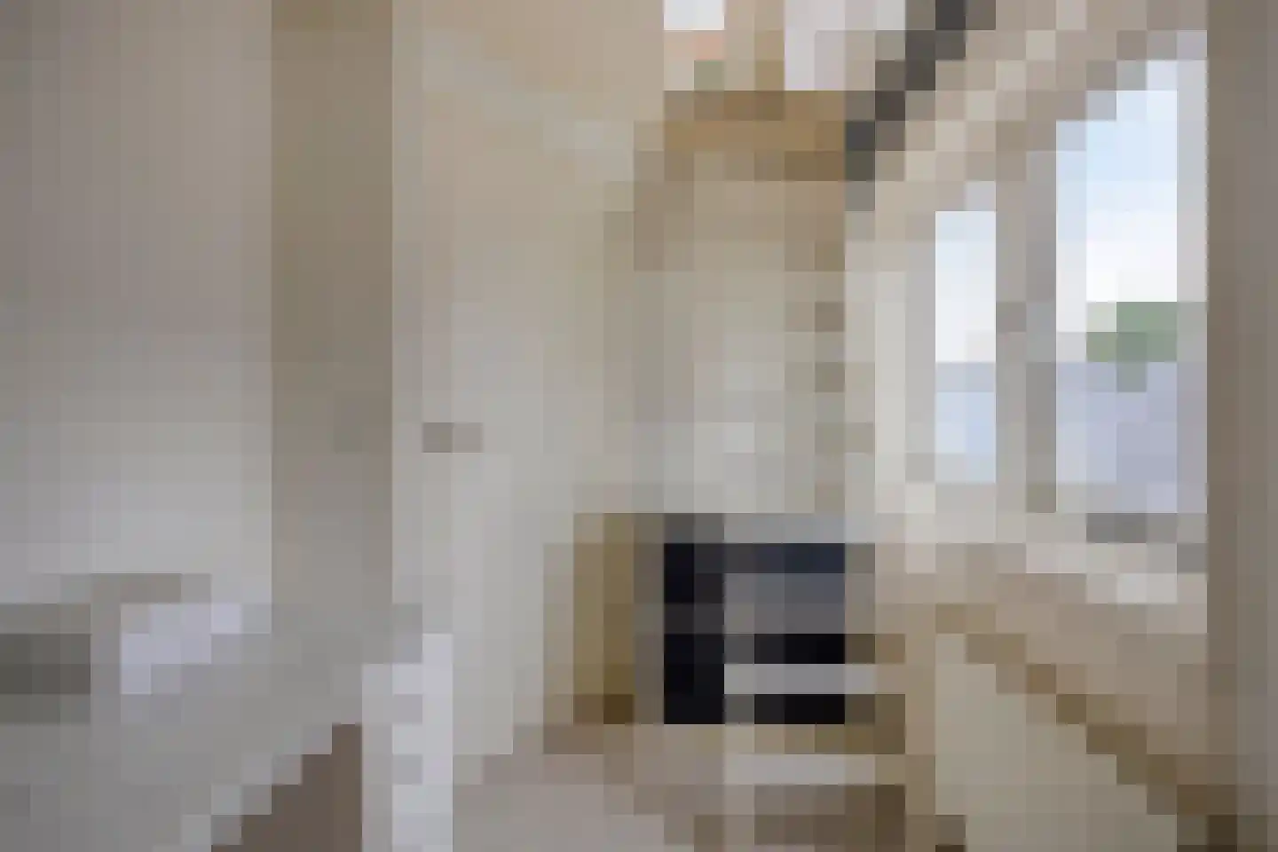 Glashorst 30 Scherpenzeel thumbnail 23