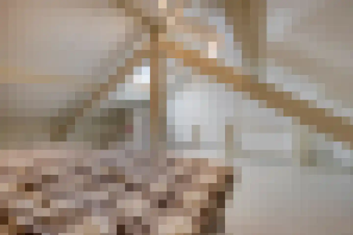 Glashorst 30 Scherpenzeel thumbnail 25