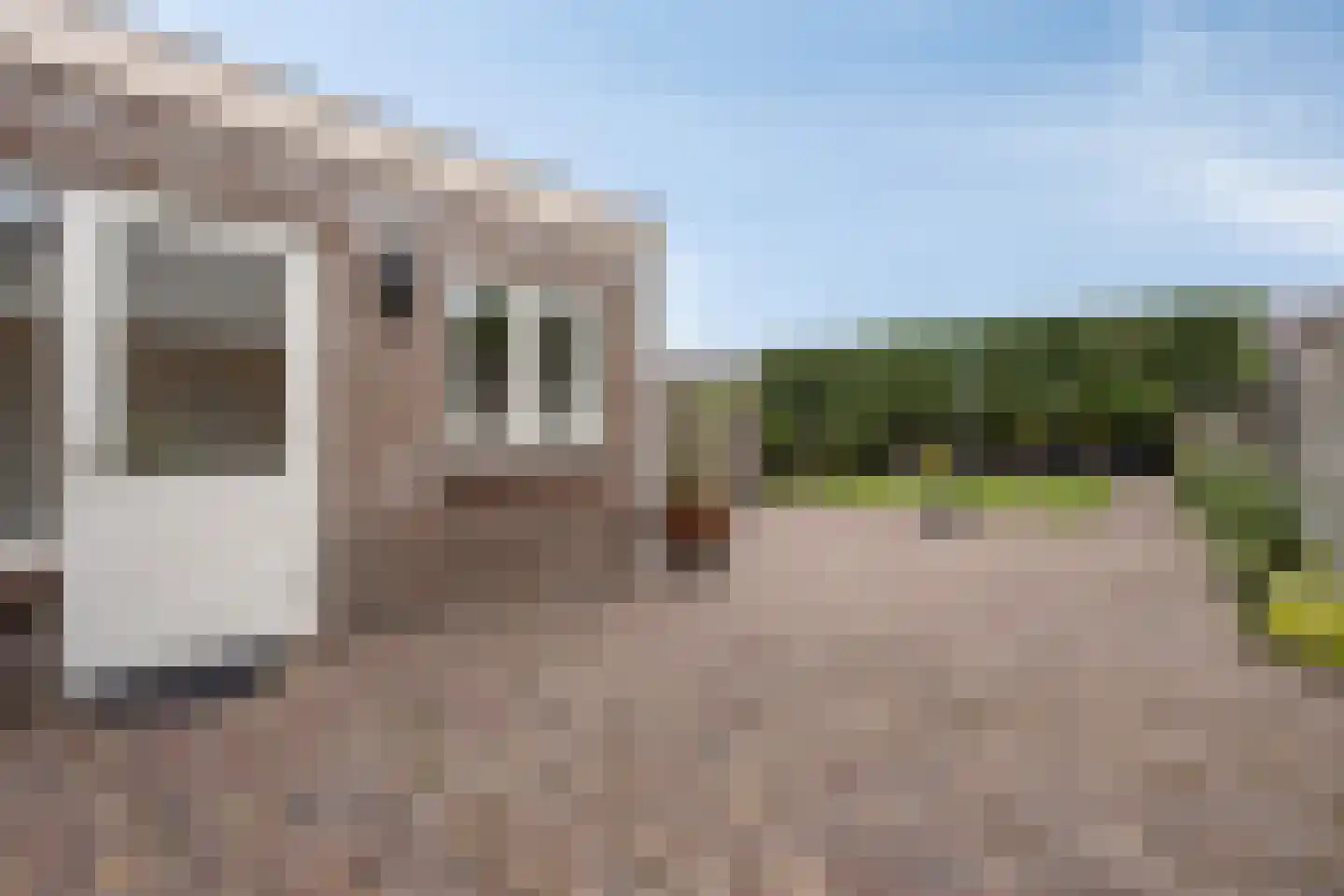 Glashorst 30 Scherpenzeel thumbnail 27