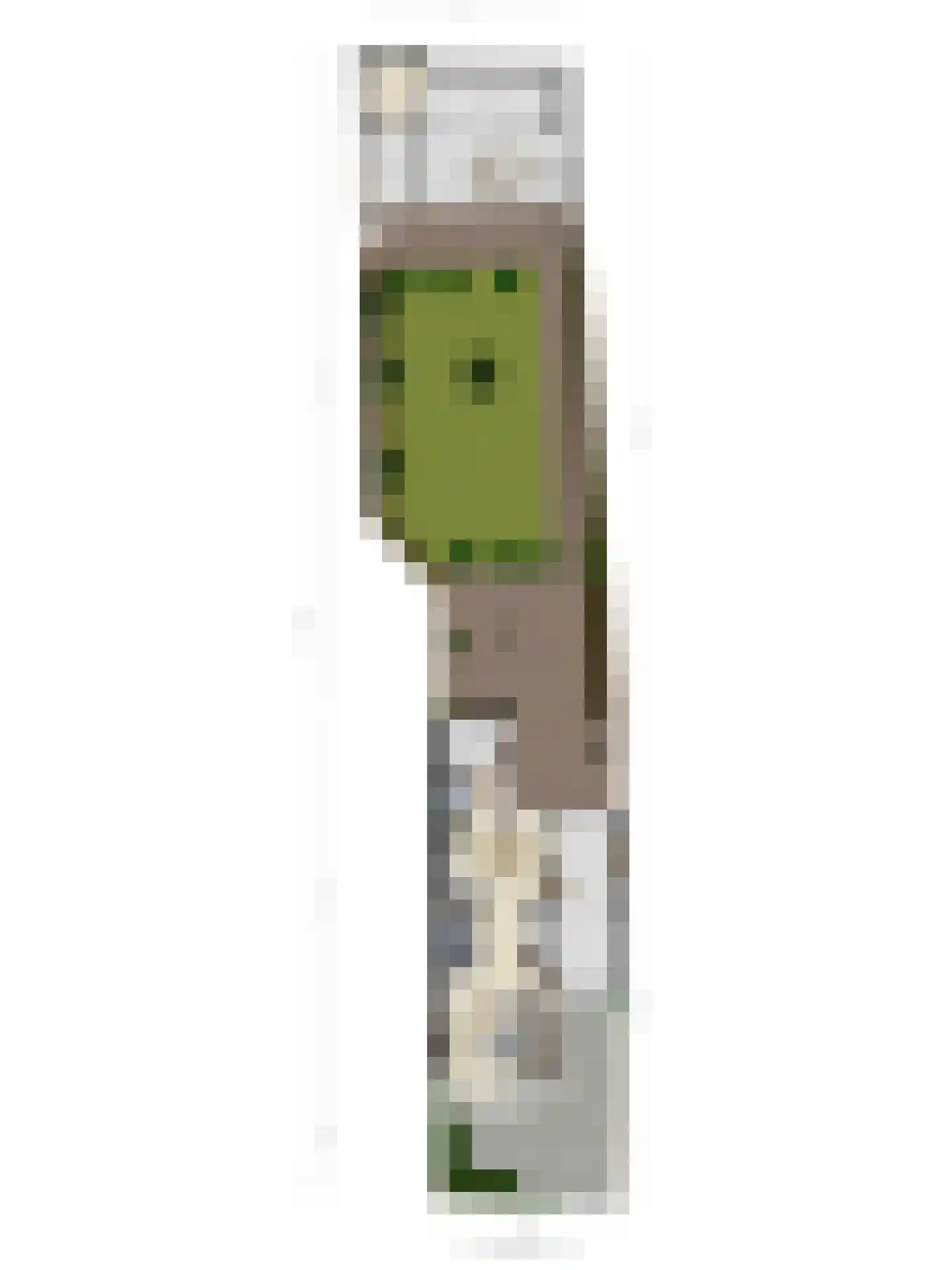 Glashorst 30 Scherpenzeel thumbnail 39