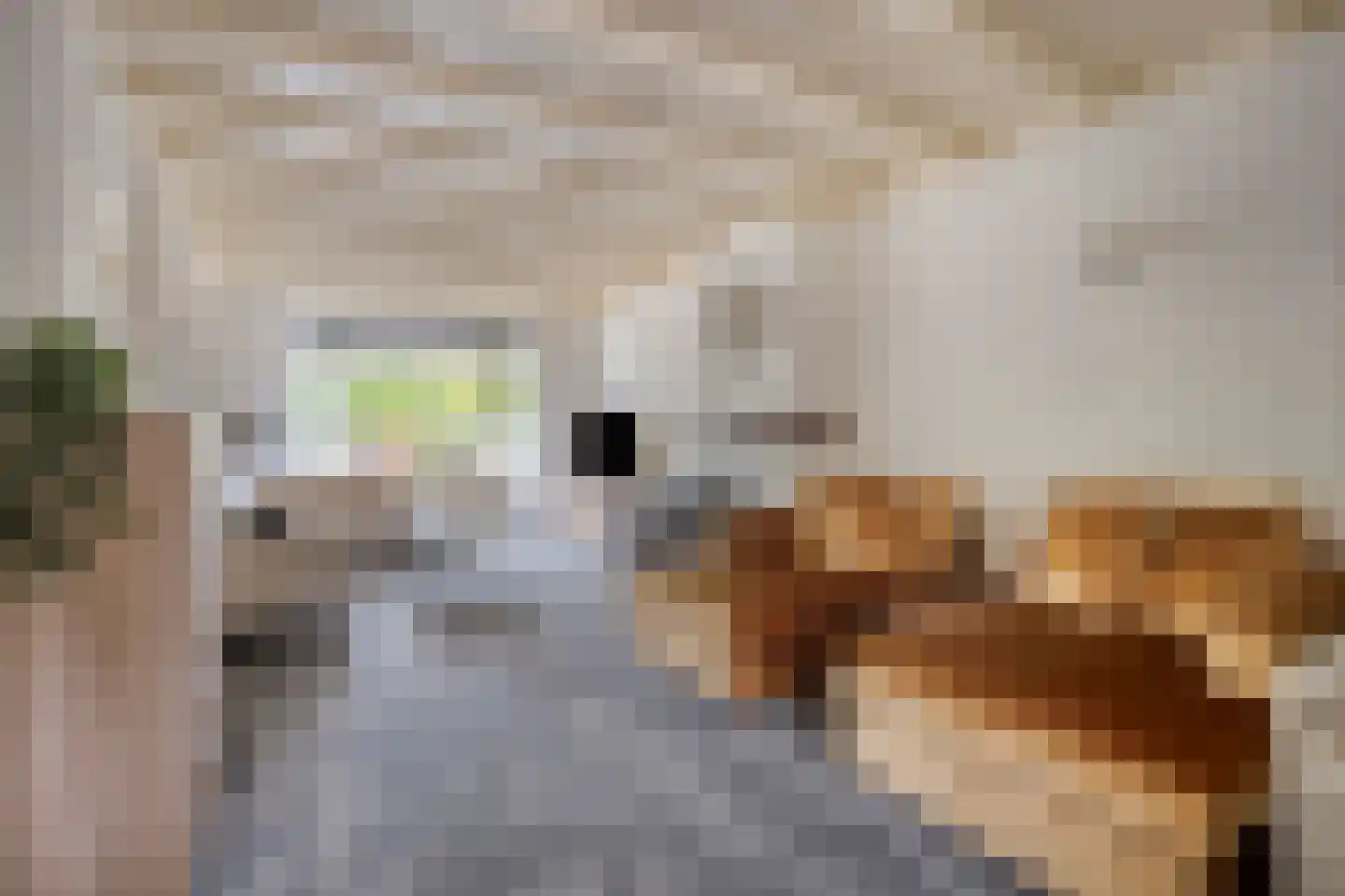 Glashorst 30 Scherpenzeel thumbnail 4
