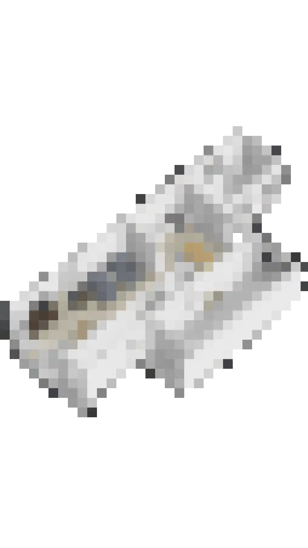 Glashorst 30 Scherpenzeel thumbnail 41