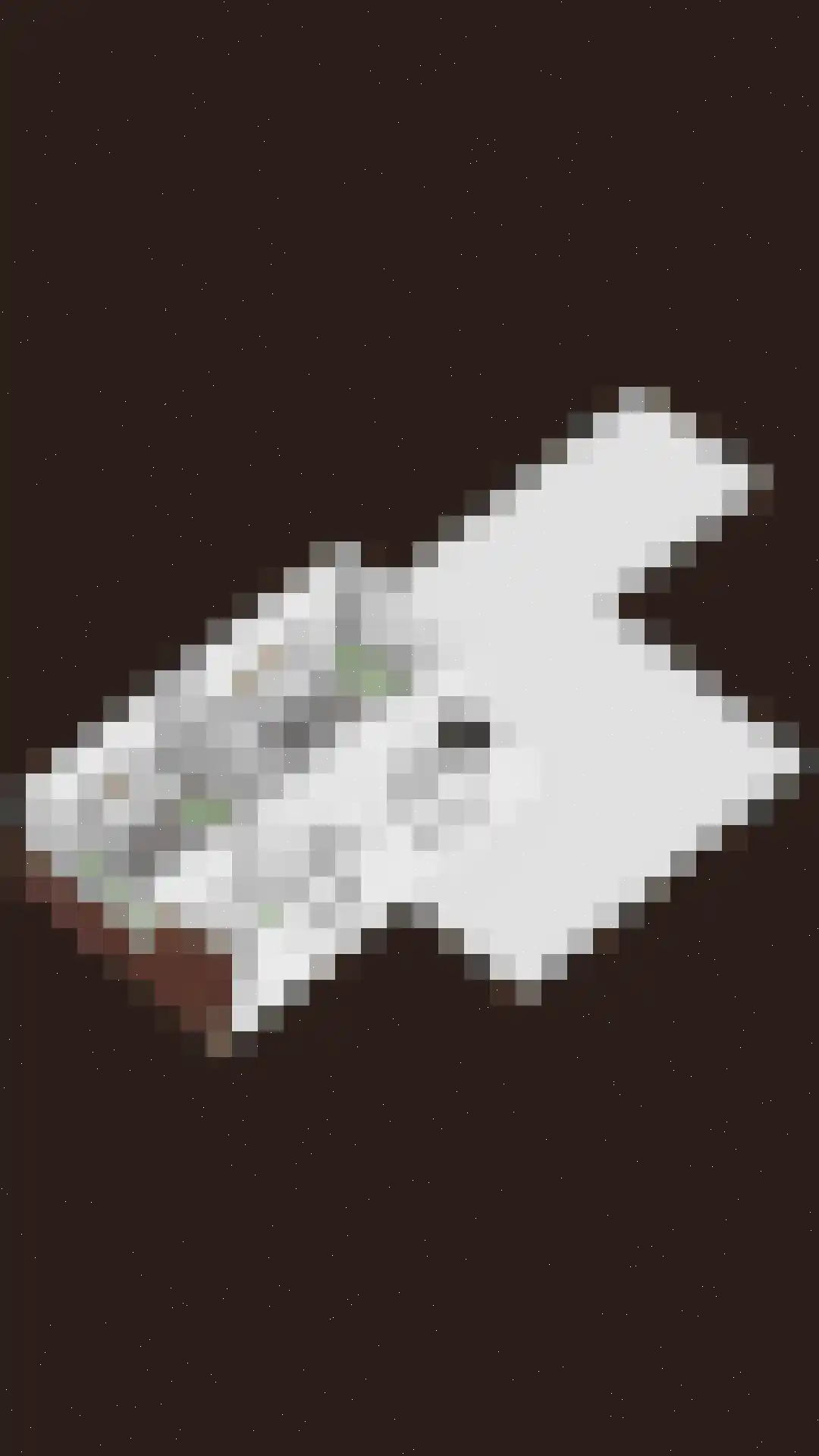 Glashorst 30 Scherpenzeel thumbnail 42
