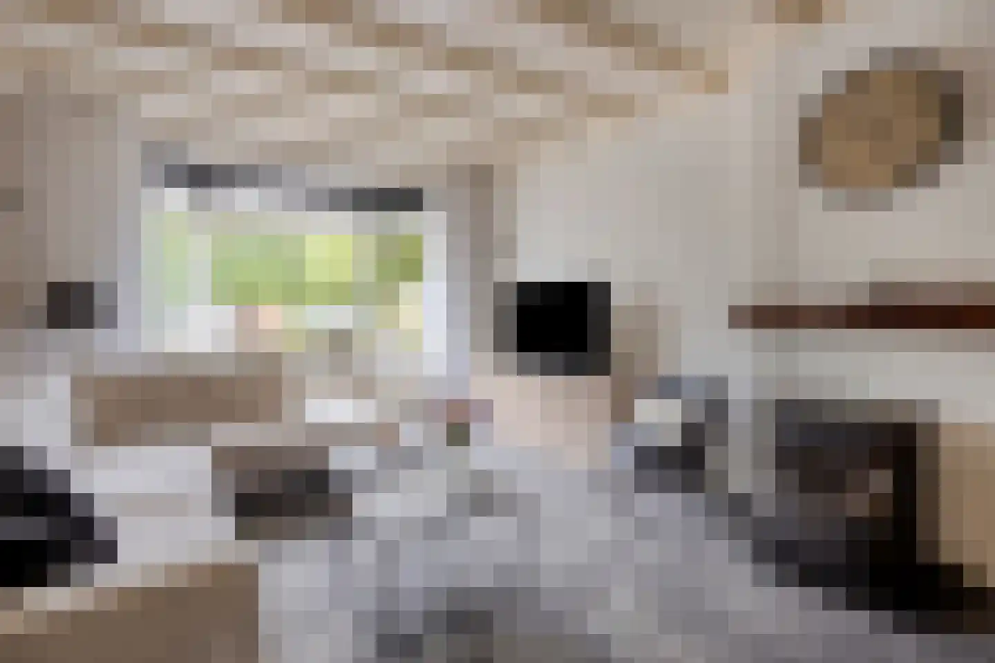 Glashorst 30 Scherpenzeel thumbnail 6