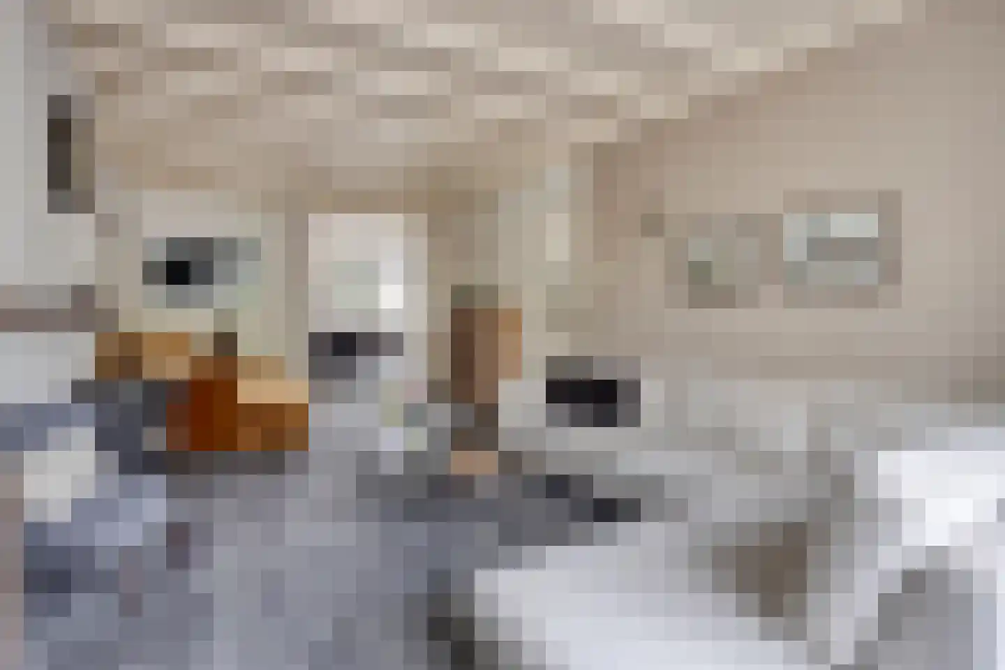 Glashorst 30 Scherpenzeel thumbnail 7