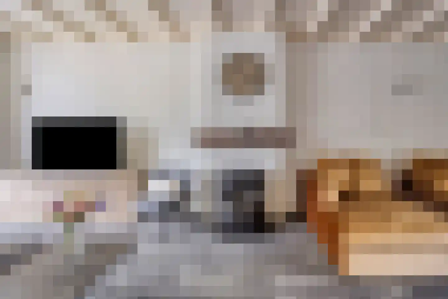 Glashorst 30 Scherpenzeel thumbnail 8
