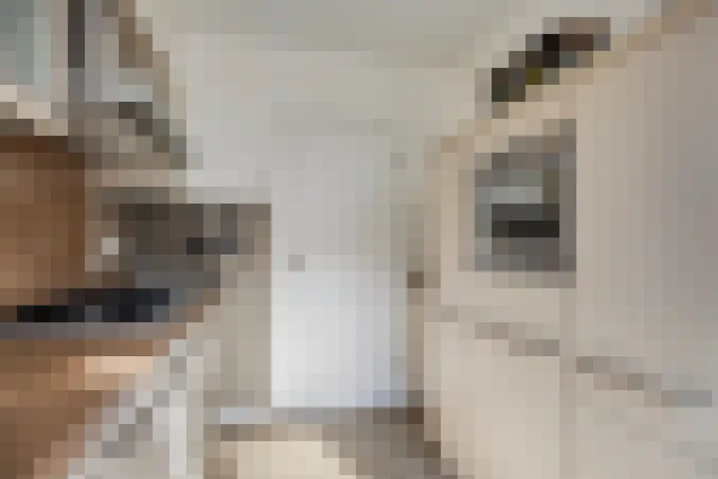 Glashorst 47 Scherpenzeel thumbnail 11
