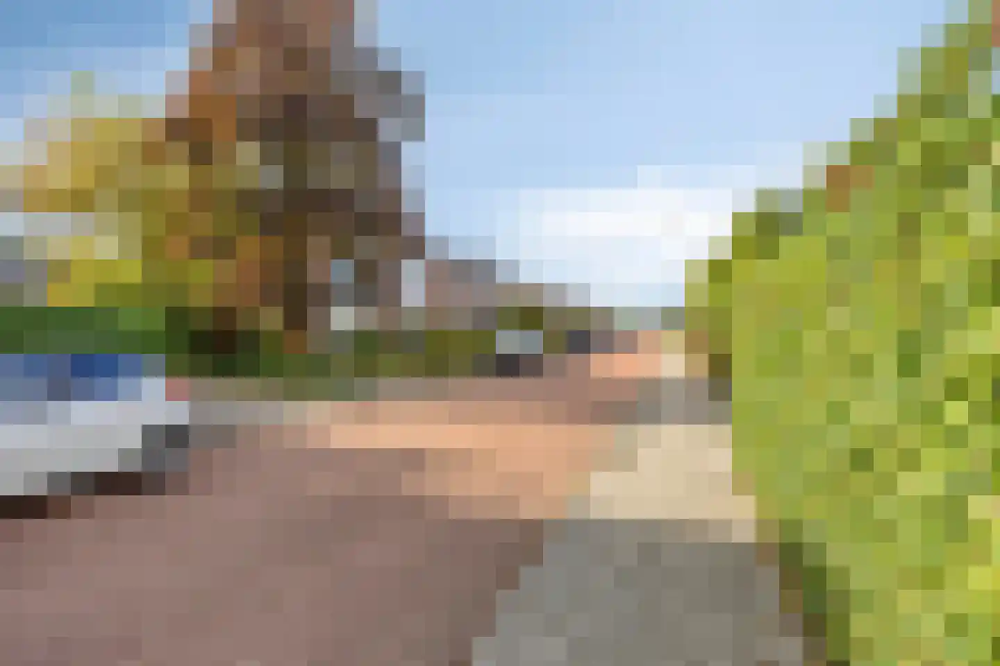 Glashorst 47 Scherpenzeel thumbnail 30