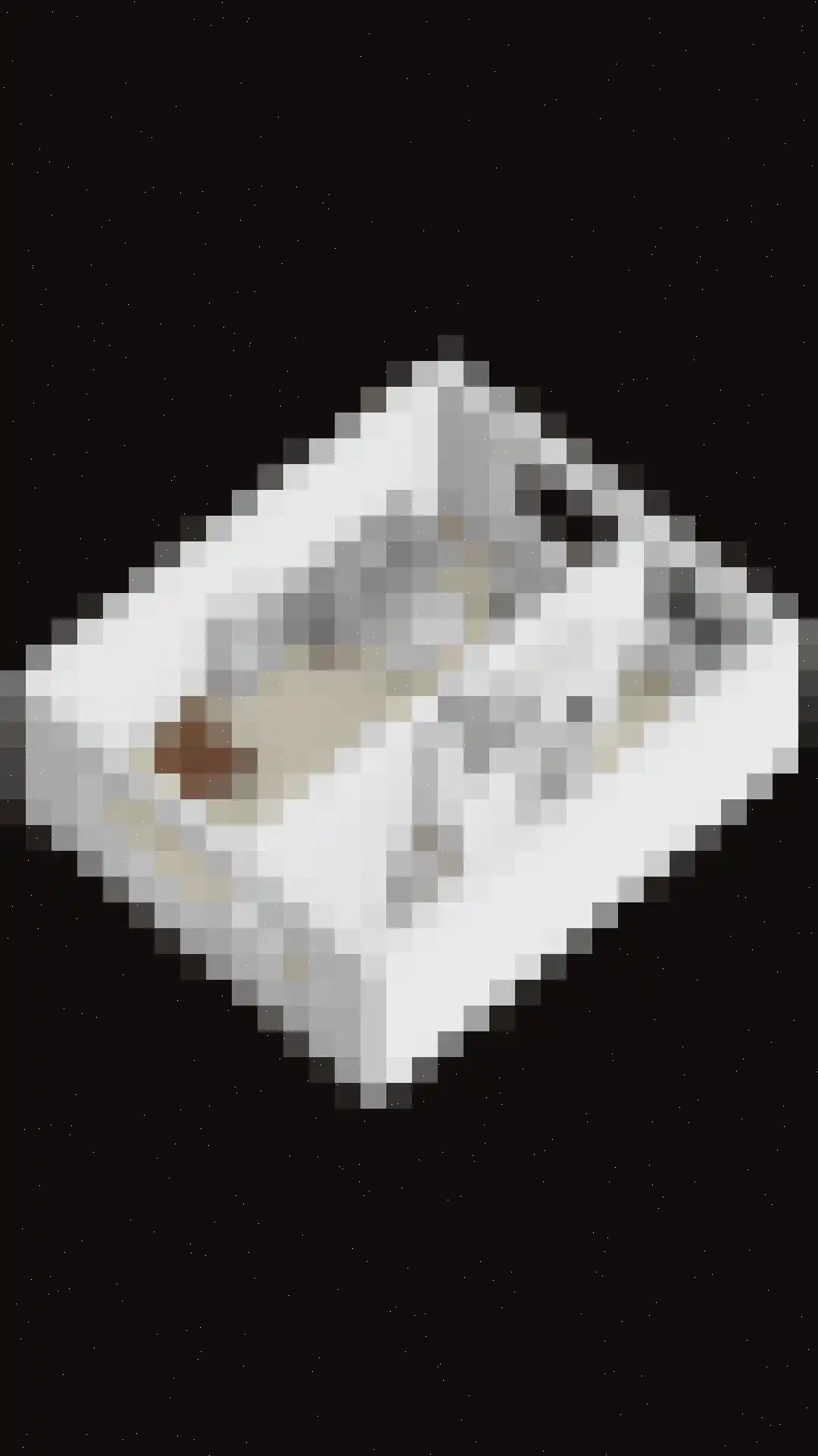 Glashorst 47 Scherpenzeel thumbnail 37