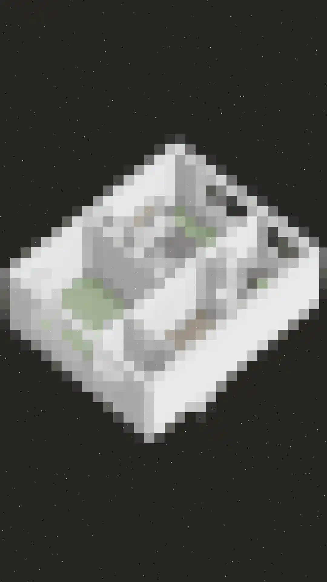 Glashorst 47 Scherpenzeel thumbnail 38