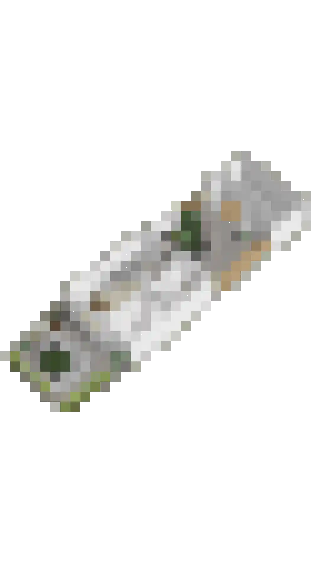 Glashorst 47 Scherpenzeel thumbnail 40