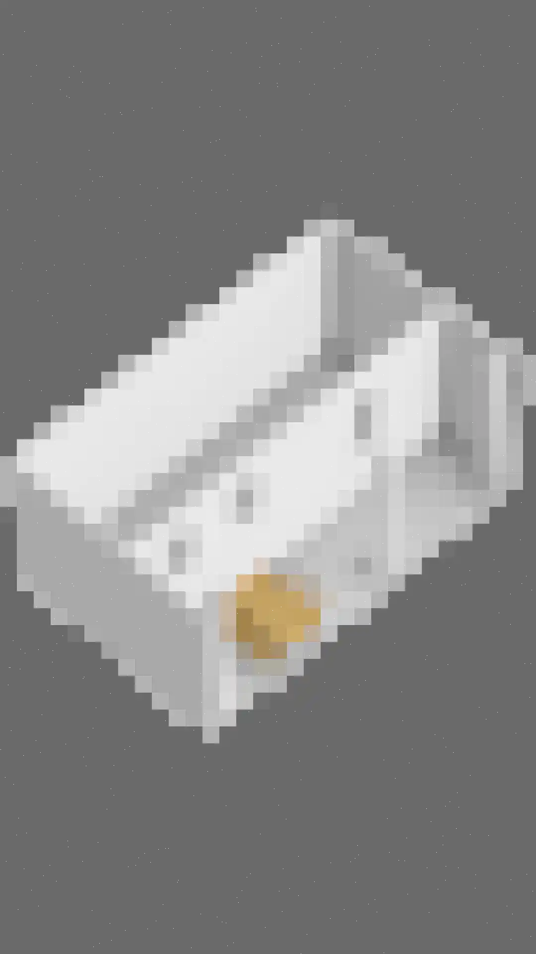 Glashorst 47 Scherpenzeel thumbnail 41