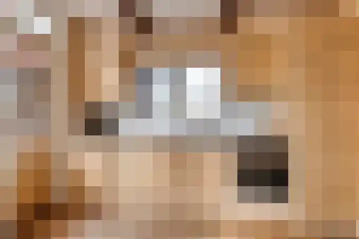 Glashorst 77 a Scherpenzeel thumbnail 10