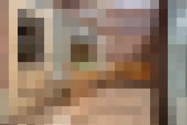 Glashorst 77 a Scherpenzeel thumbnail 11