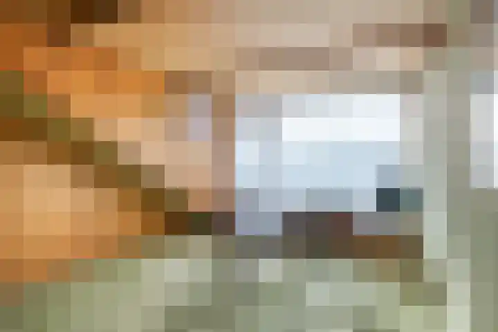 Glashorst 77 a Scherpenzeel thumbnail 21