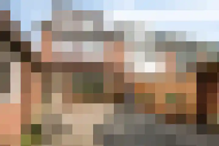 Glashorst 77 a Scherpenzeel thumbnail 25