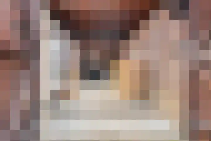Glashorst 77 a Scherpenzeel thumbnail 28