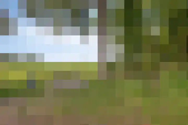 Glashorst 77 a Scherpenzeel thumbnail 34