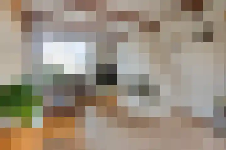 Glashorst 77 a Scherpenzeel thumbnail 4