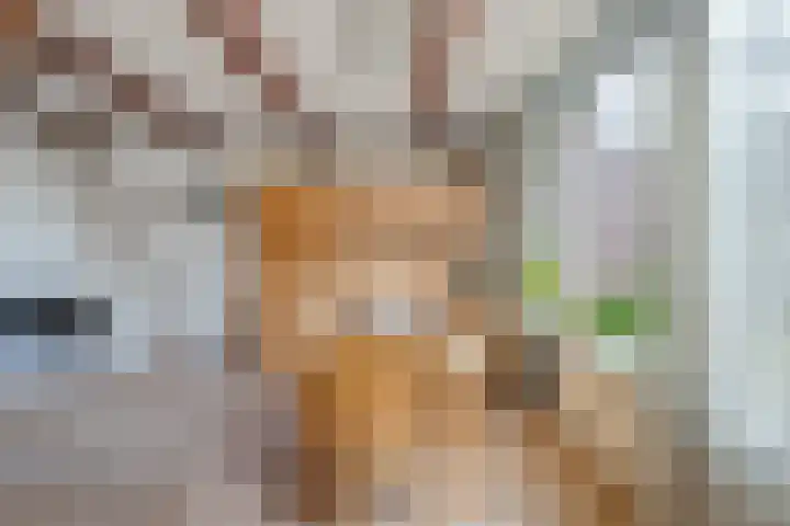 Glashorst 77 a Scherpenzeel thumbnail 8