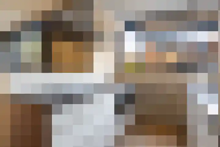Glaskruid 10 Amersfoort thumbnail 13
