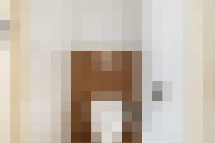 Glaskruid 10 Amersfoort thumbnail 15