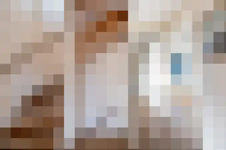 Glaskruid 10 Amersfoort thumbnail 16