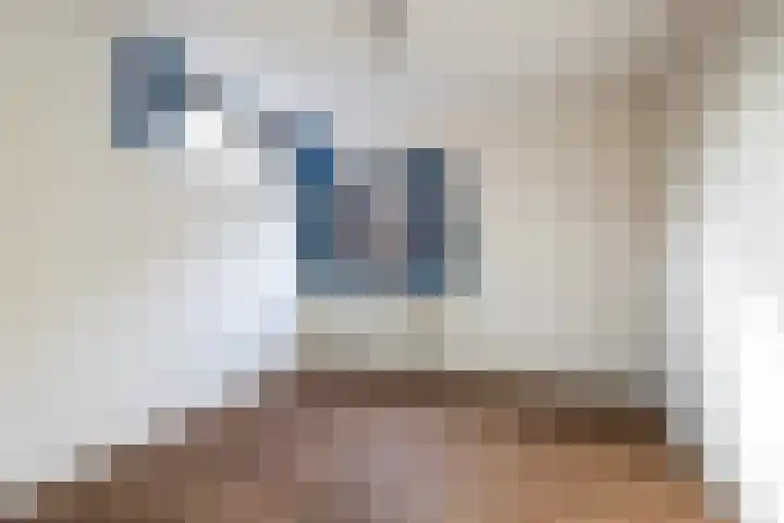Glaskruid 10 Amersfoort thumbnail 18