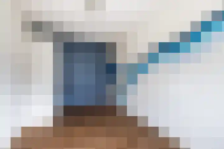 Glaskruid 10 Amersfoort thumbnail 21