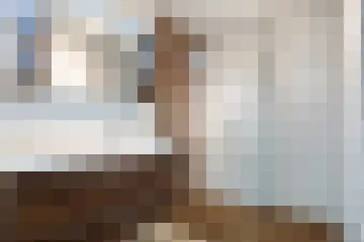 Glaskruid 10 Amersfoort thumbnail 22