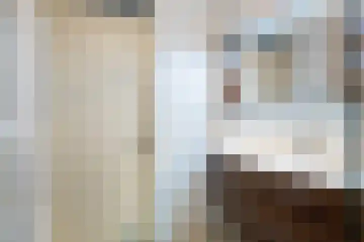 Glaskruid 10 Amersfoort thumbnail 23