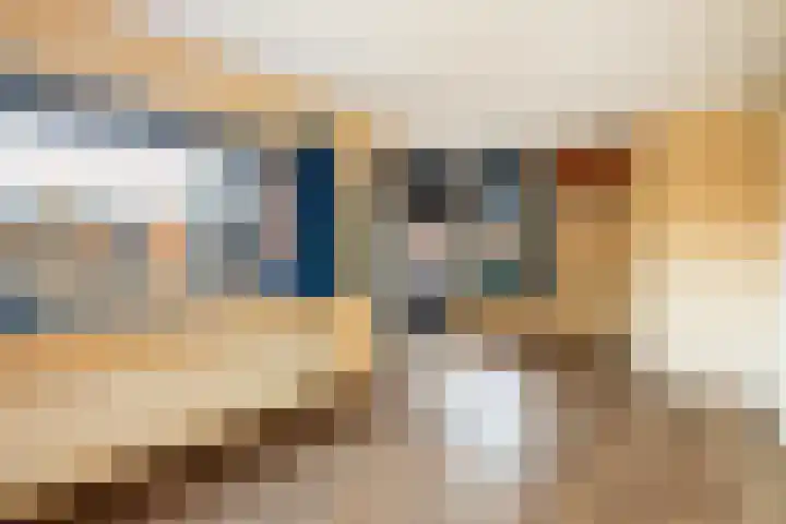 Glaskruid 10 Amersfoort thumbnail 26
