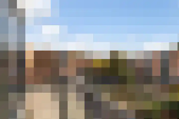 Glaskruid 10 Amersfoort thumbnail 34