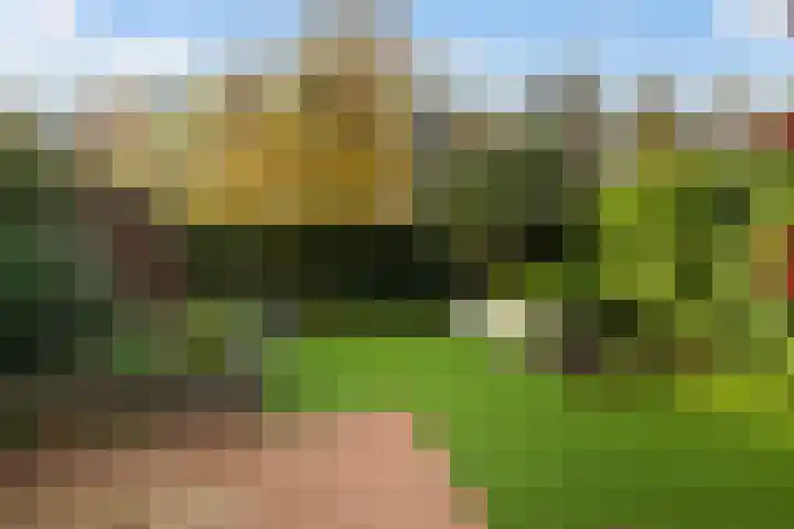 Glaskruid 10 Amersfoort thumbnail 35