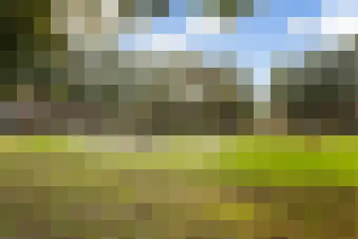 Glaskruid 10 Amersfoort thumbnail 36