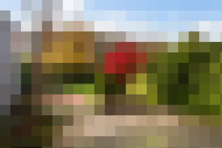Glaskruid 10 Amersfoort thumbnail 37