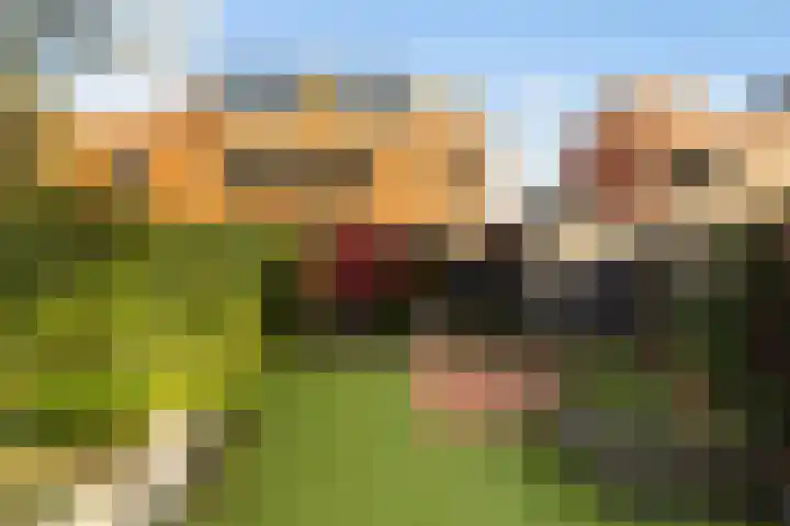 Glaskruid 10 Amersfoort thumbnail 38