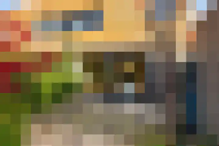 Glaskruid 10 Amersfoort thumbnail 39