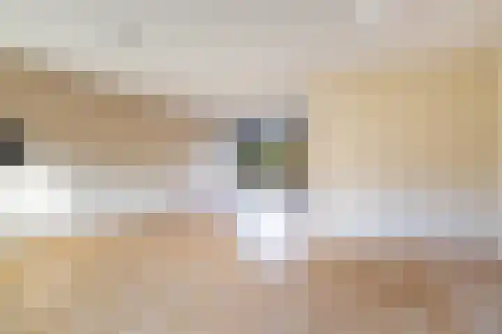 Glaskruid 10 Amersfoort thumbnail 8