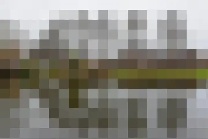 Glaskruid 9 Breukelen thumbnail 26