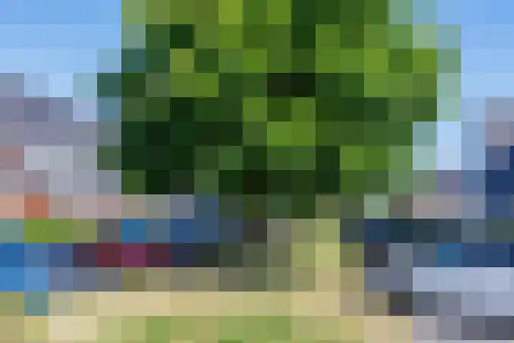Glauconiet 14 Deest thumbnail 40