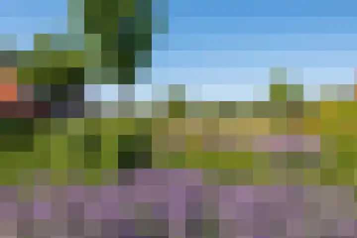 Glauconiet 14 Deest thumbnail 41